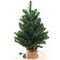 2' Pre-Lit Northern Spruce 2' Christmas Tree with Burlap Base | Tabletop Tree | Indoor/Outdoor Use | Holiday & Christmas tree Décor | Tabletop Accent | Home & Office Decoration